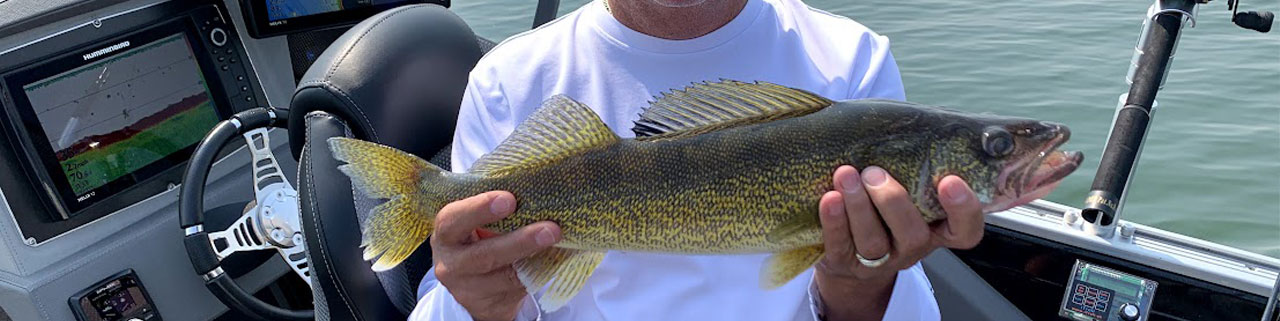 Walleye Fishing in Michigan: The Complete Guide